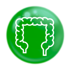 Chất xơ hoà tan: 4,6g